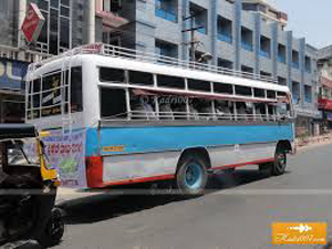 Free bus service to jackfruit mela at Pilikula